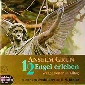 Anselm Grün: 12 Engel erleben